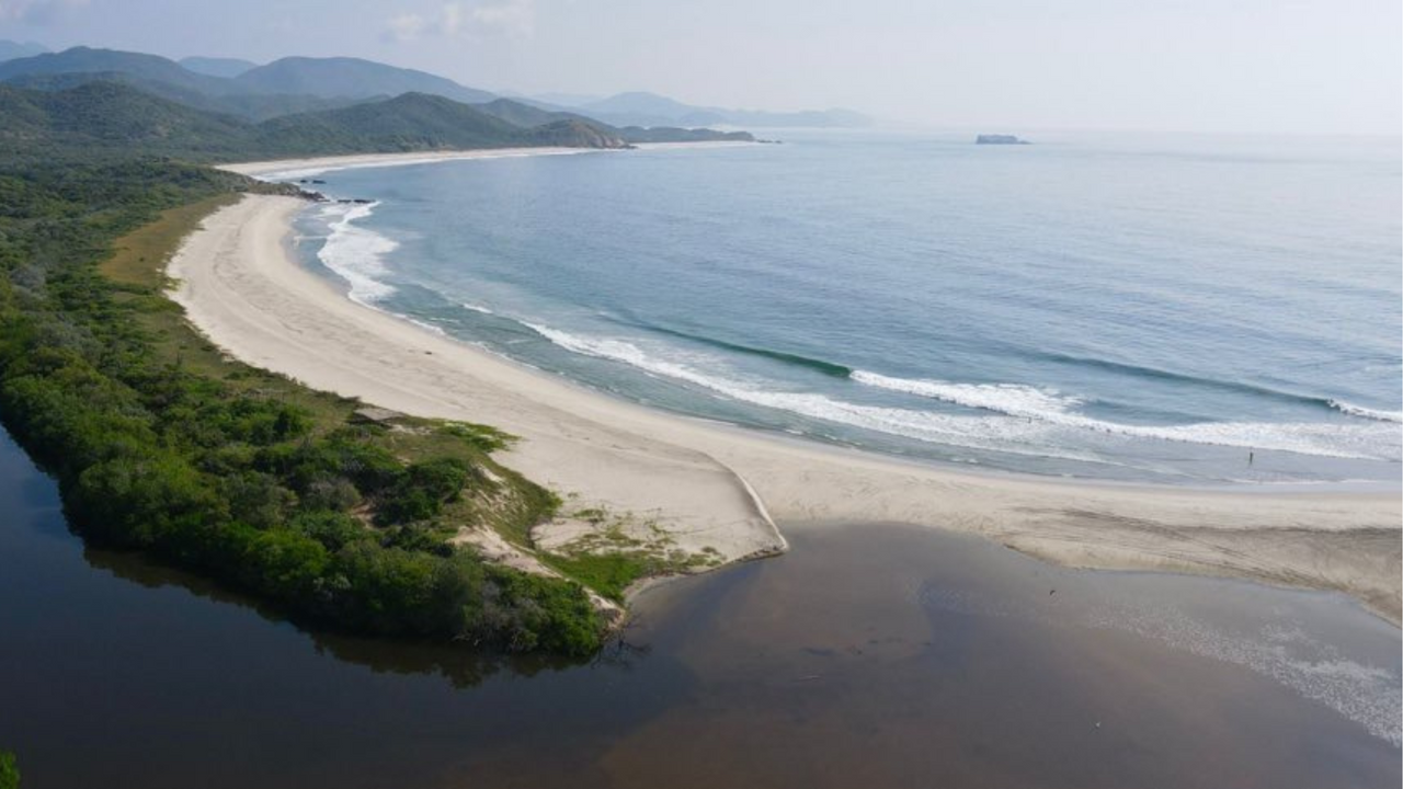 Five Reasons Why Conserving Coastal Oaxaca Matters